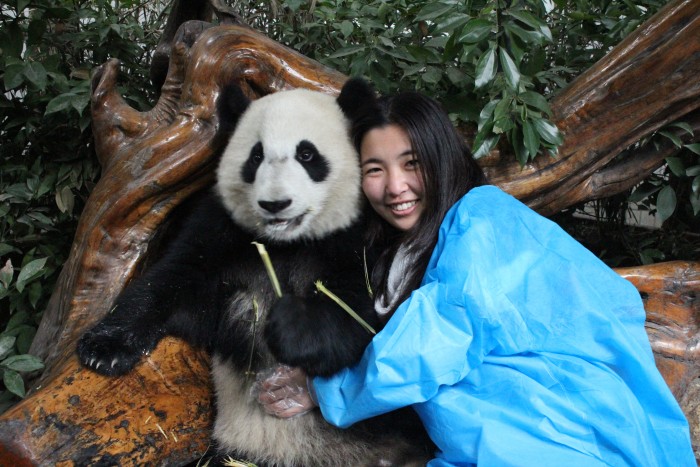 BEST JOB FOUND: Become A Panda Hugger & Get A Salary For It… - RVCJ Media