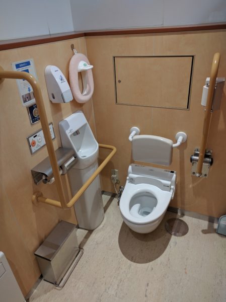 Public Toilets Of Different Countries Will Amaze You And Will Also Make You Feel Disgusted - RVCJ Media