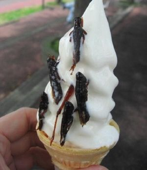 8 Insect Flavored Ice Creams Around The World That Not Everyone Can Eat - RVCJ Media