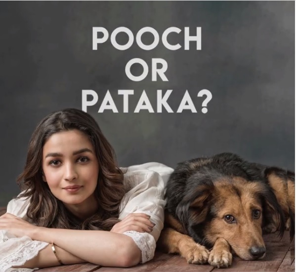 Alia Bhatt Asked Fans Not To Burst Firecrackers This Diwali & Got Hilariously Trolled - RVCJ Media