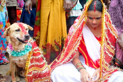 From Shooting The Bride To Spitting On Her Head, 10 Bizarre Wedding Rituals Popular In The World - RVCJ Media