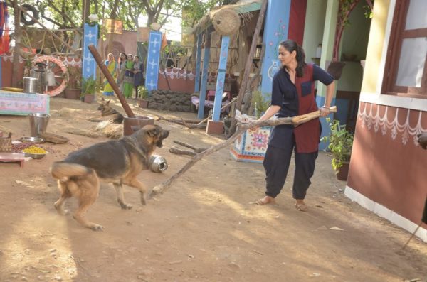 Scene Gone Wrong. Actress Prachi Tehlan Gets Badly Bitten By Dog On Ikyawaan Sets - RVCJ Media