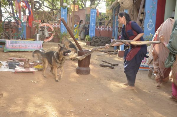 Scene Gone Wrong. Actress Prachi Tehlan Gets Badly Bitten By Dog On Ikyawaan Sets - RVCJ Media