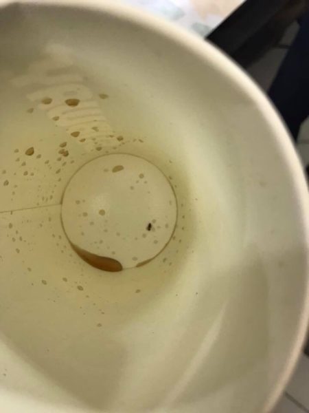 Live Cockroach Found In Customer's Drink At Subway. Restaurant Closed After It Was Raided - RVCJ Media