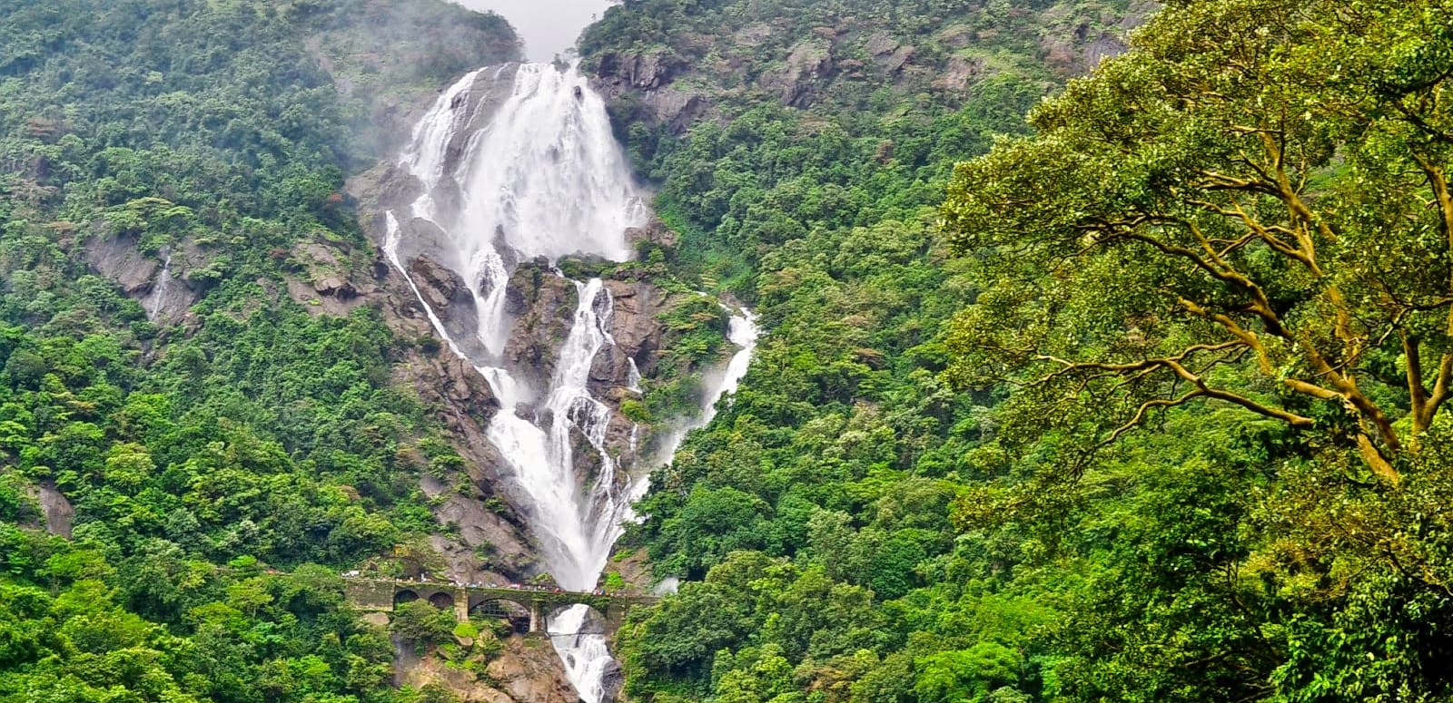 Rains, nature, and culture: 6 Best Places to visit during Monsoon in India