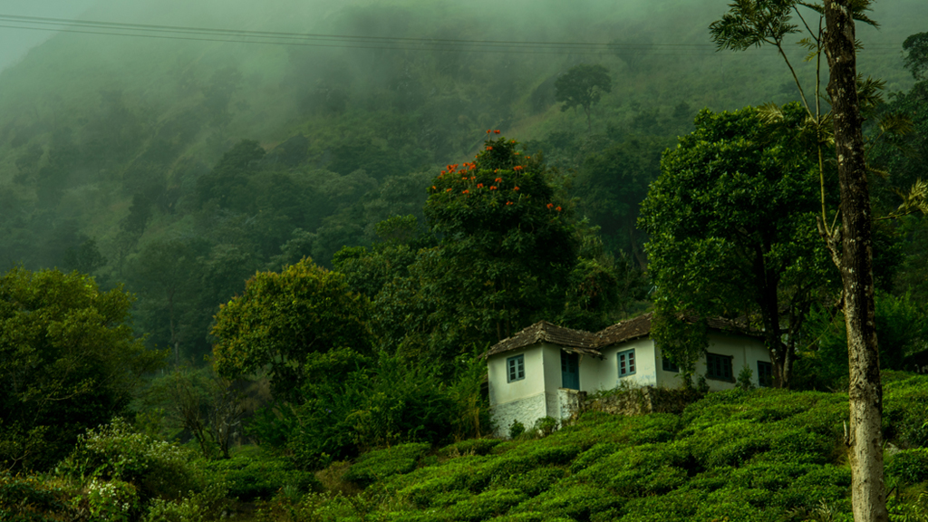 Rains, nature, and culture: 6 Best Places to visit during Monsoon in India