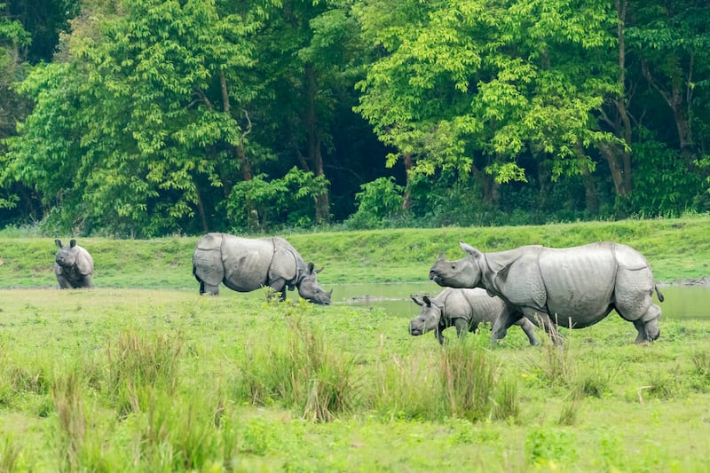 Exploring the Enchanting Seven Sisters: 10 Best Places to Visit in Northeast India