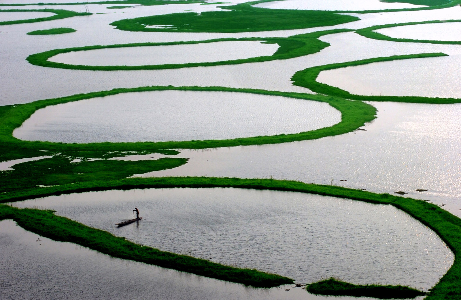 Exploring the Enchanting Seven Sisters: 10 Best Places to Visit in Northeast India