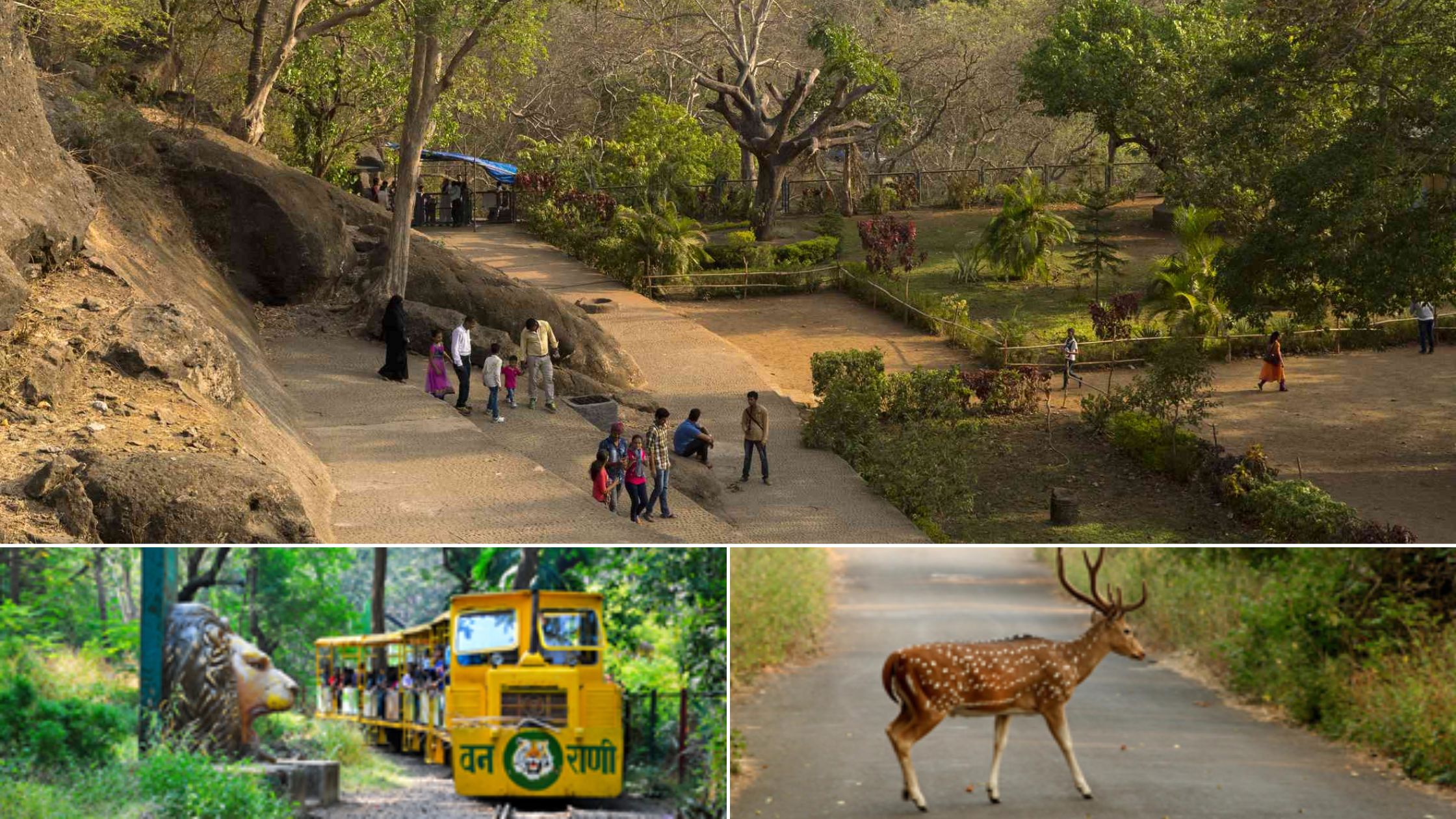 Top 10 Must-Visit Tourist Attractions in Mumbai