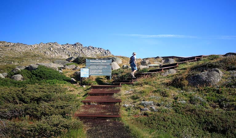 How To Climb Mount Kosciuszko | A Proper Guide For An Amazing Hike