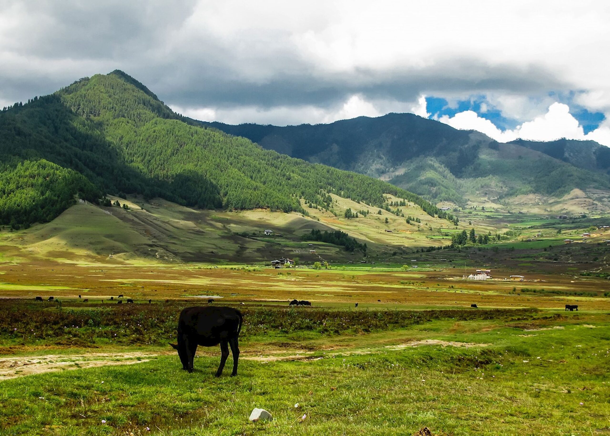 Culture, Natural Beauty and Legacy: 6 Places To Visit in Bhutan