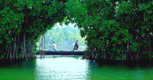 Offbeat Escapes: 6 Most Underrated Destinations in Kerala