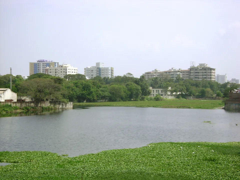 Green Escapes: 10 Most Beautiful Parks and Gardens in Chennai