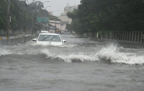 Crocodile On Road To Floating Cars, Scary Visuals From Chennai Go Viral Due To Cyclone Michaung - RVCJ Media