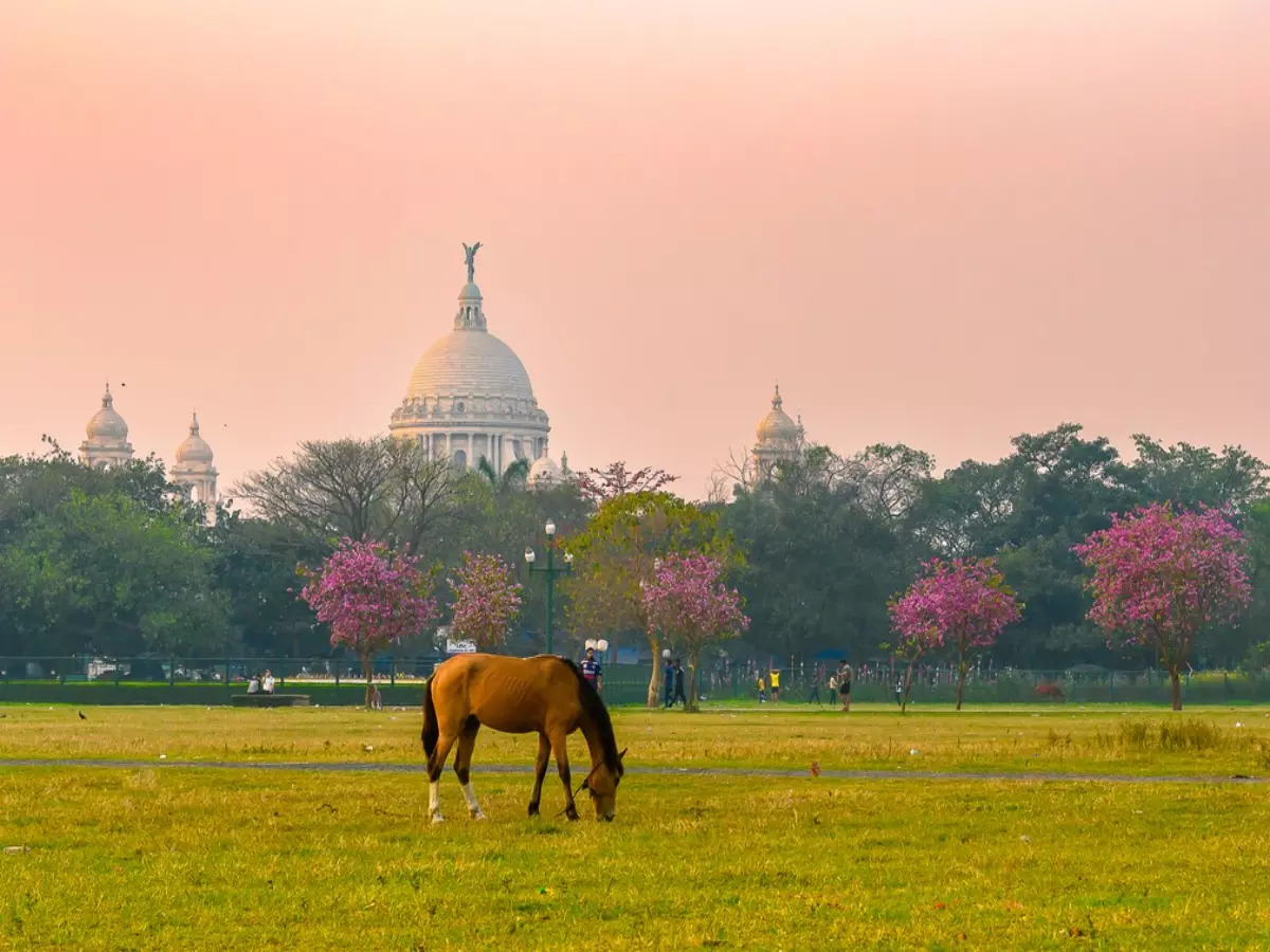 15 Must-Do Activities In Kolkata, The City Of Joy!