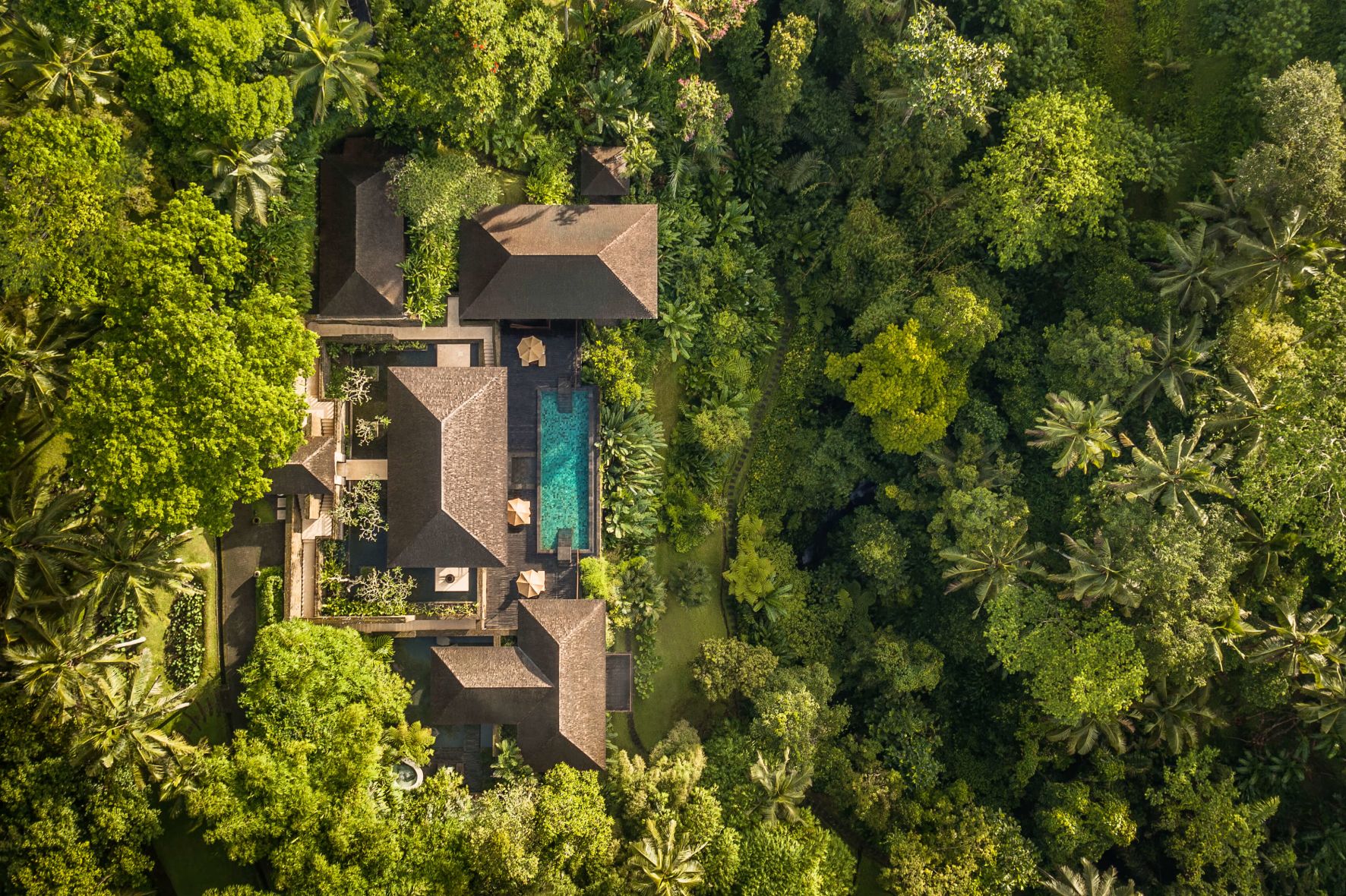 Unwind in Ubud: 7 Wellness Retreats in Bali