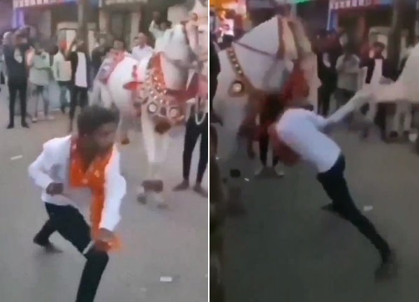 Angry Baraat Horse Gives Flying Kick To Man, Viral Video Leaves Netizens In Splits - RVCJ Media