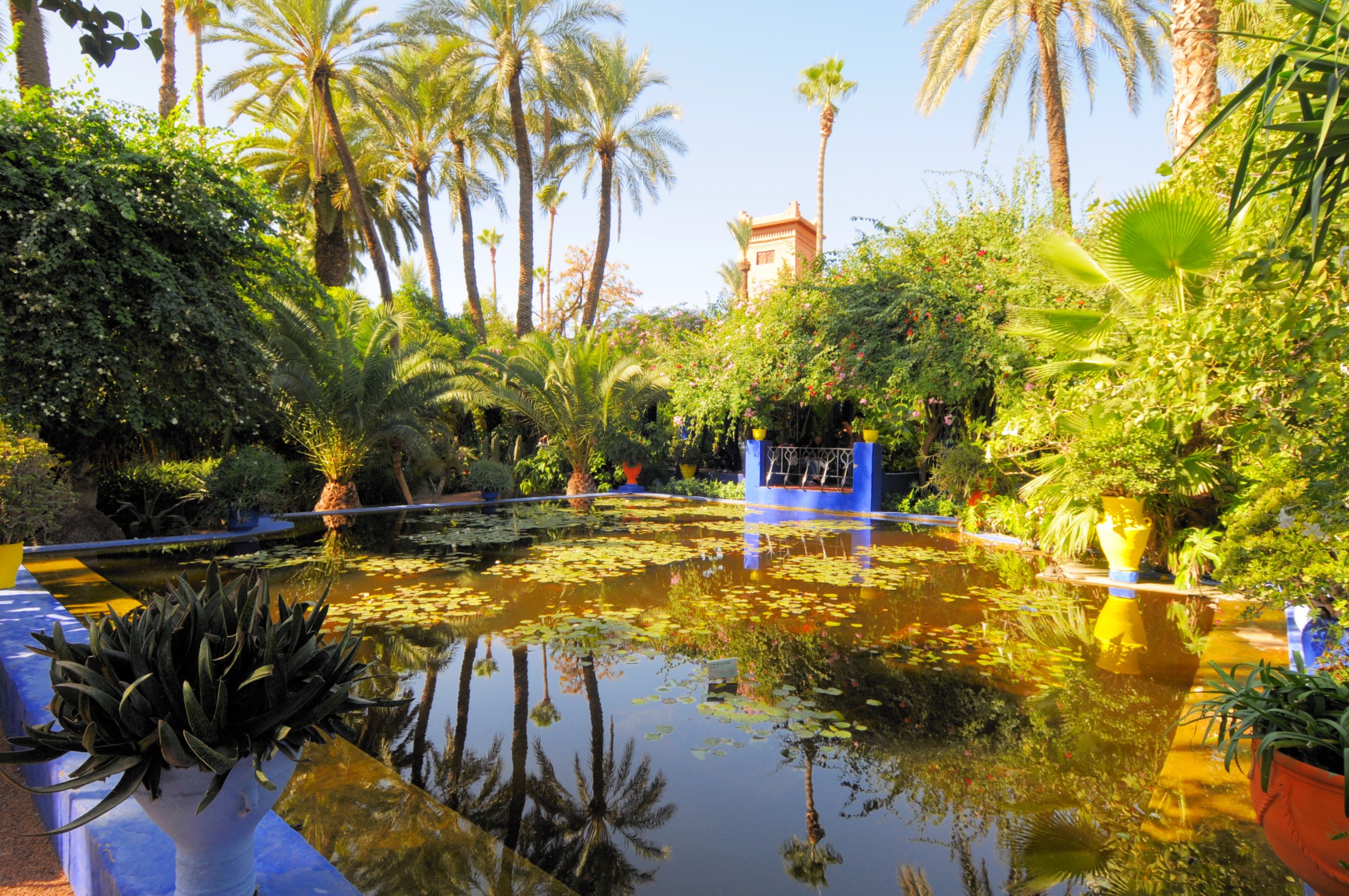 Heritage Trails: Rediscovering the Cultural Roots of Marrakech, Morocco