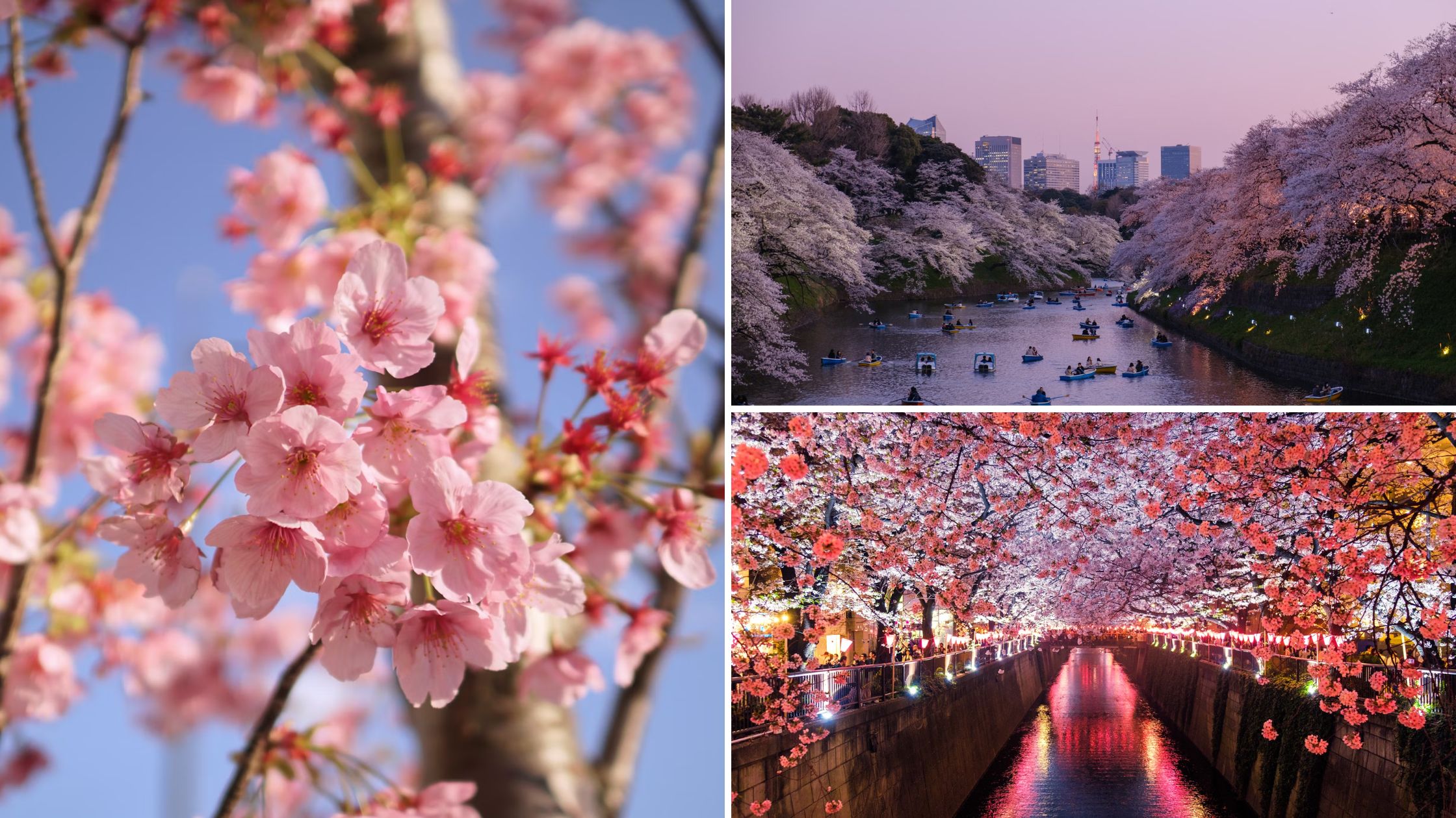 Visiting Japan: 7 Best Instagrammable Places In Tokyo