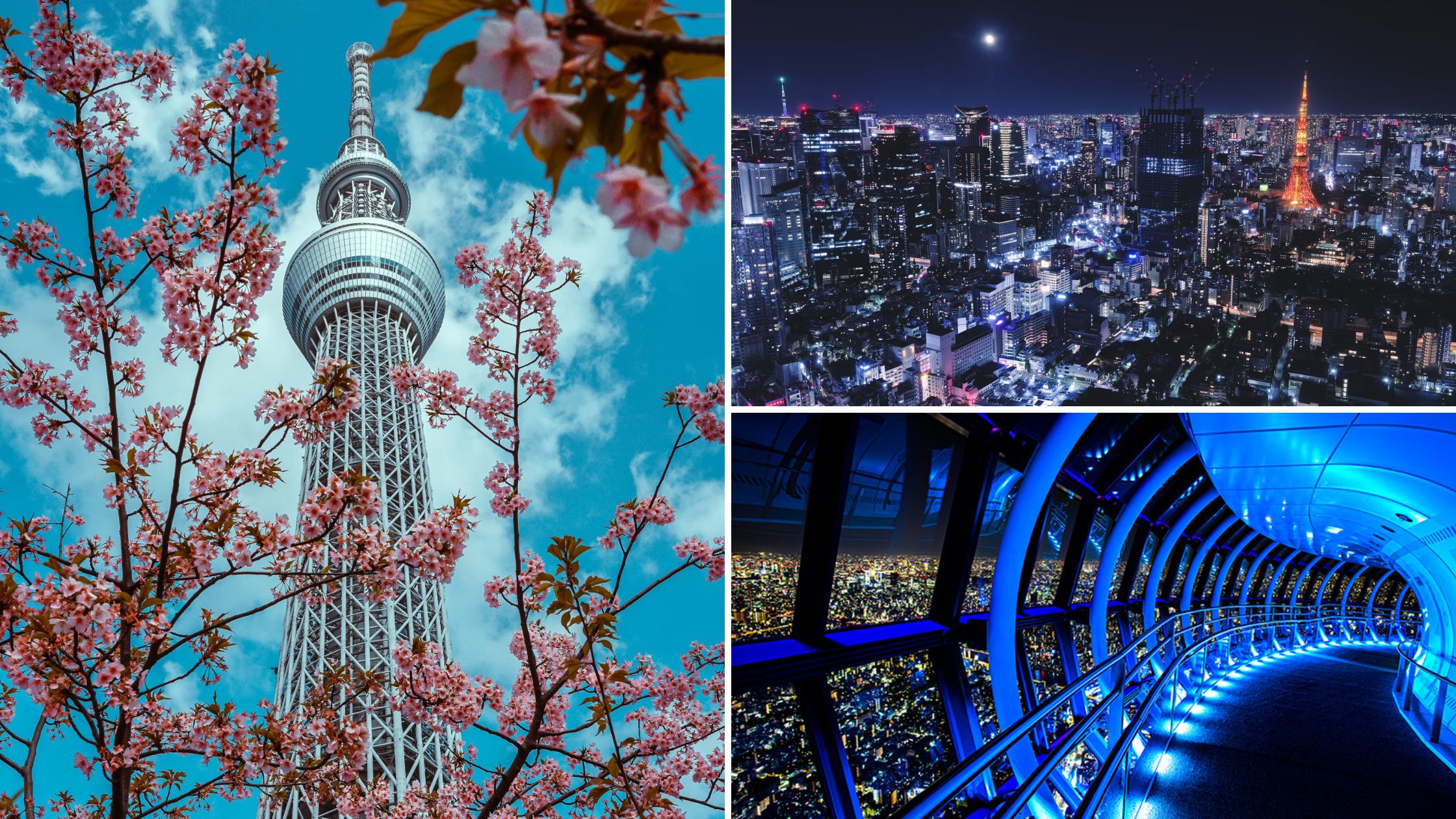 Visiting Japan: 7 Best Instagrammable Places In Tokyo