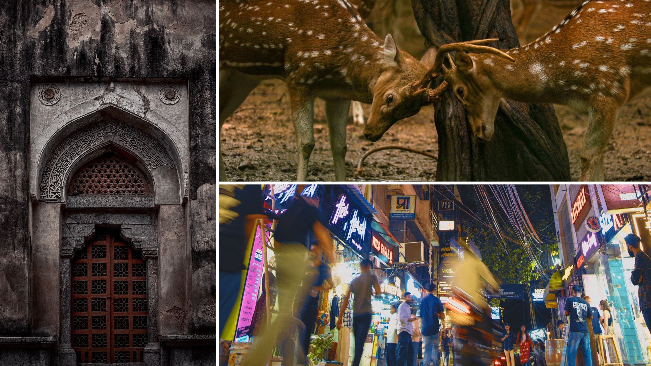 6 Amazing Instagrammable Places In Delhi