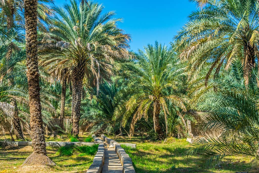 12 Best Places to Visit in the UAE