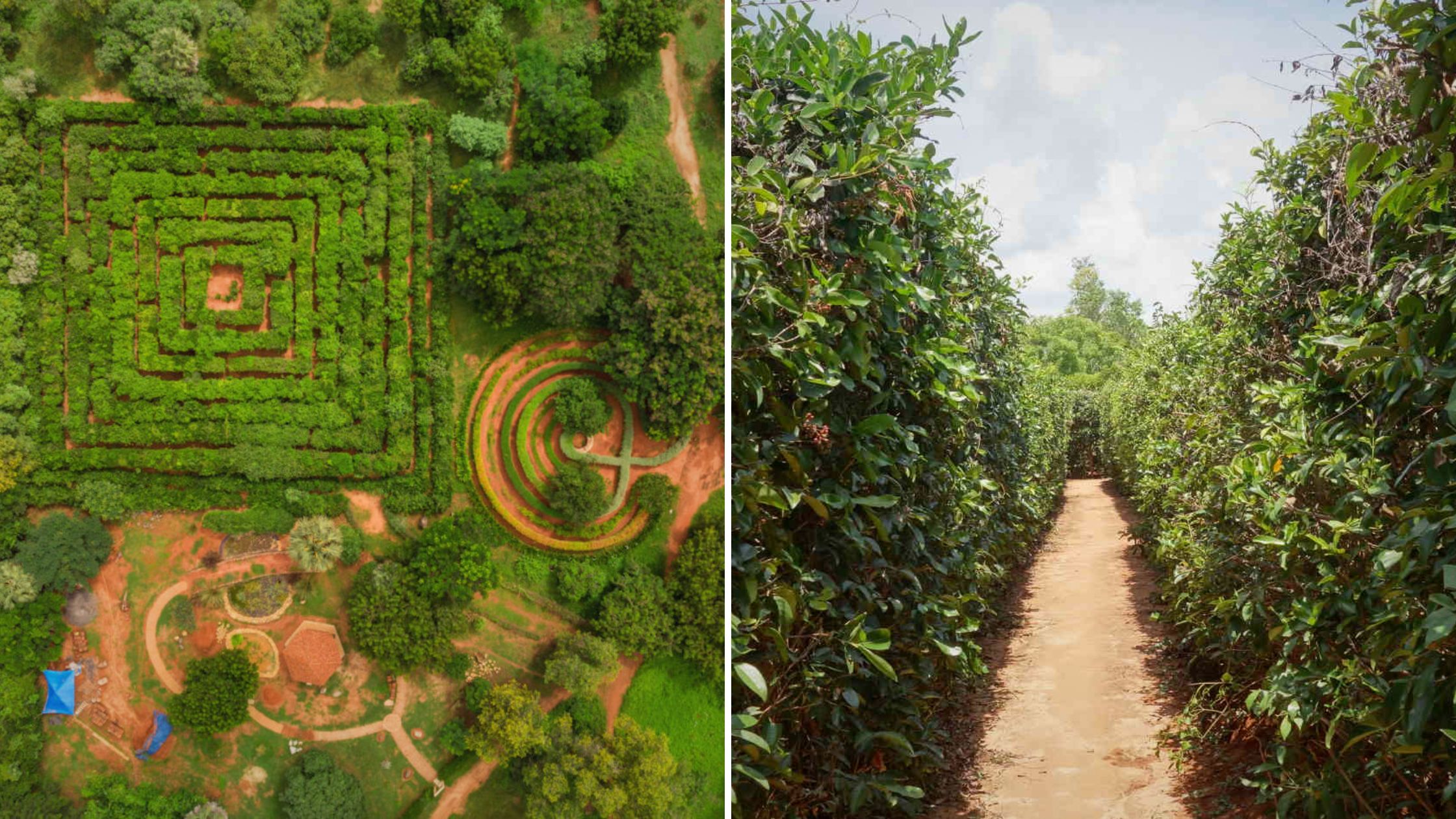 10 Best Places To Visit In Auroville - Botanical Gardens