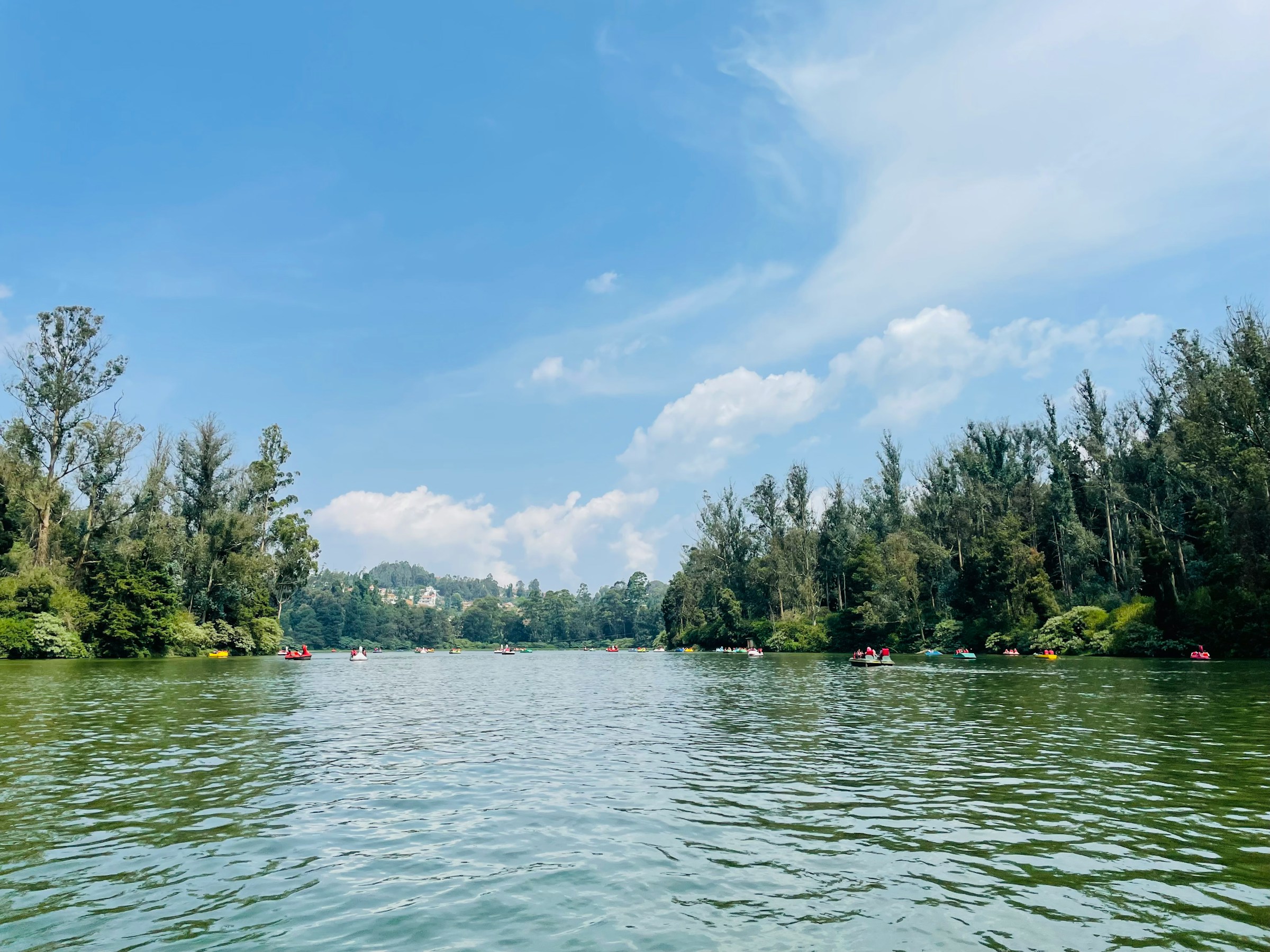 Boat Rides on Ooty Lake: Experience Serenity Amidst Nature