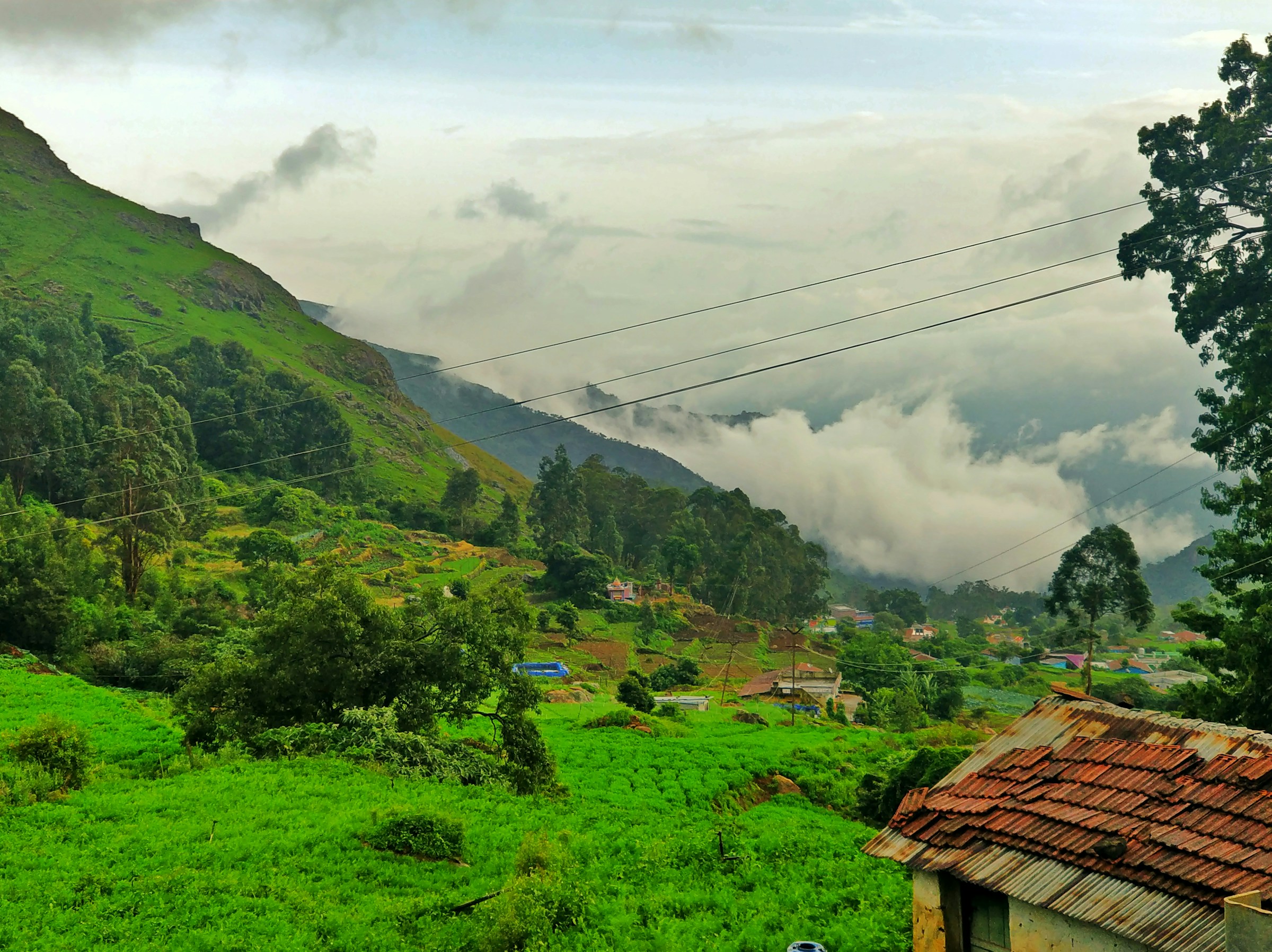 Boat Rides on Ooty Lake: Experience Serenity Amidst Nature