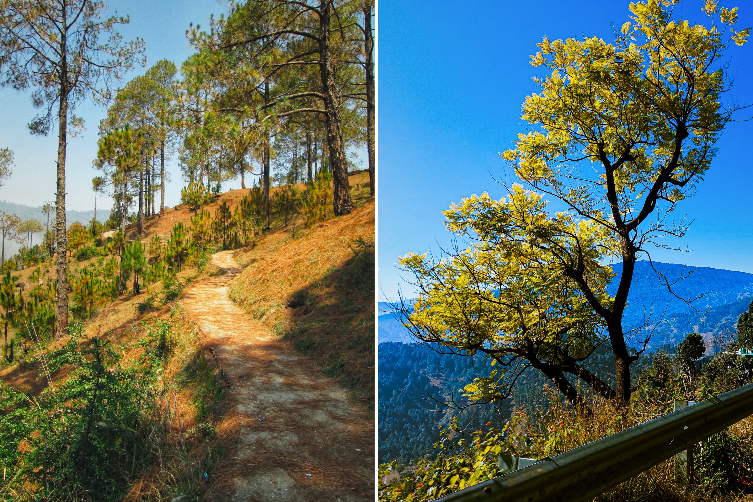 9 Most Beautiful Hill Stations to Explore This Summer In India