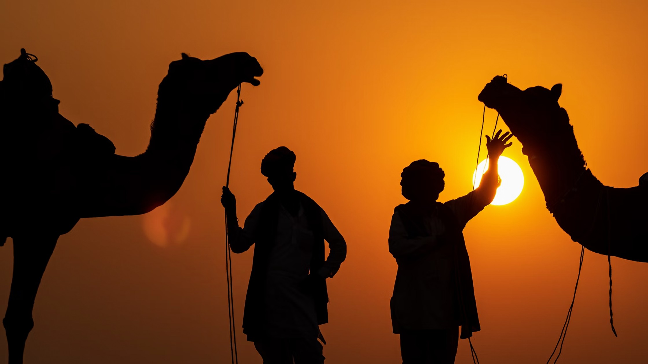 Pushkar Camel Fair 2024: Experiencing An Amazing Annual Spectacle