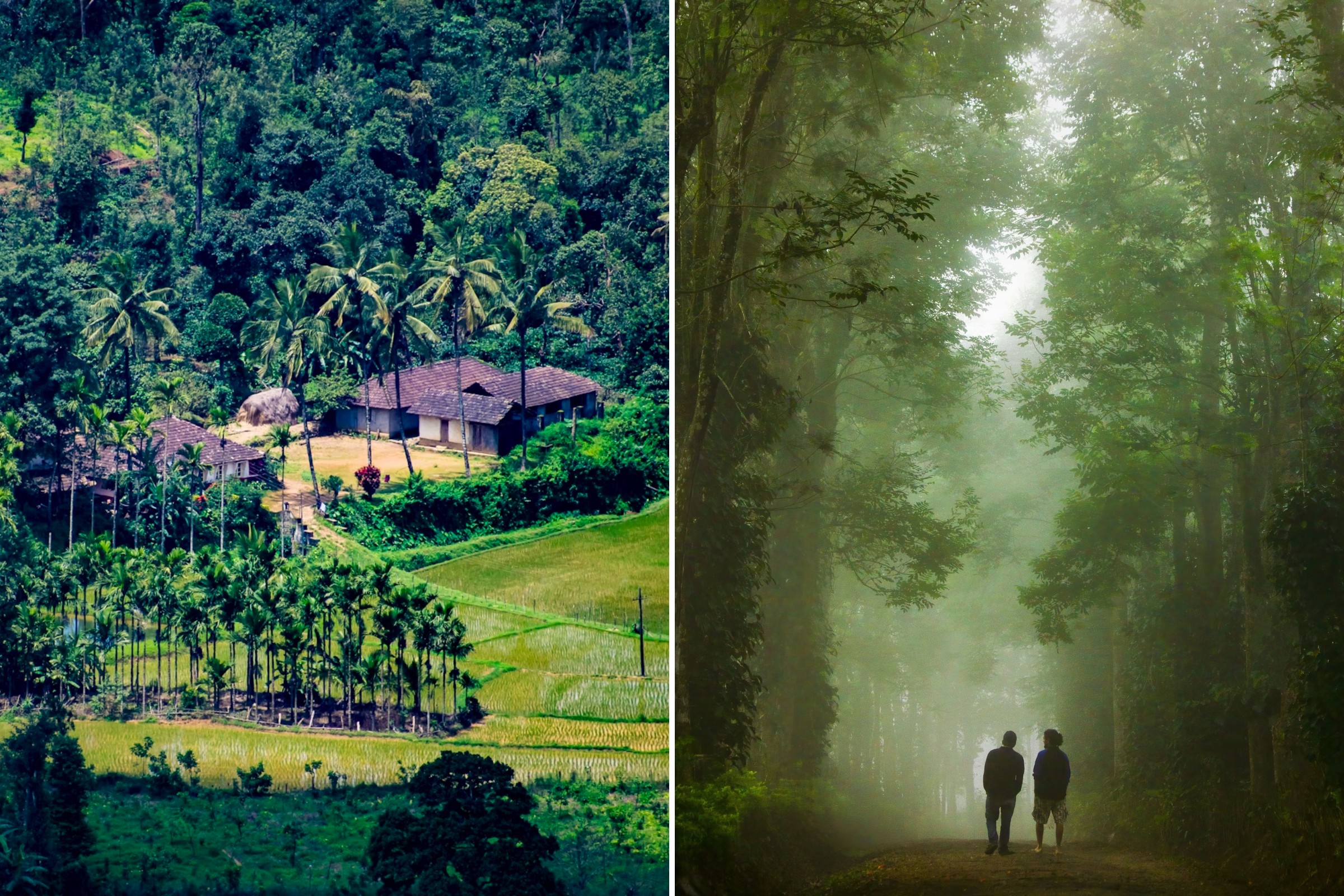 9 Travel Destinations In India For Summer Vacations - Coorg