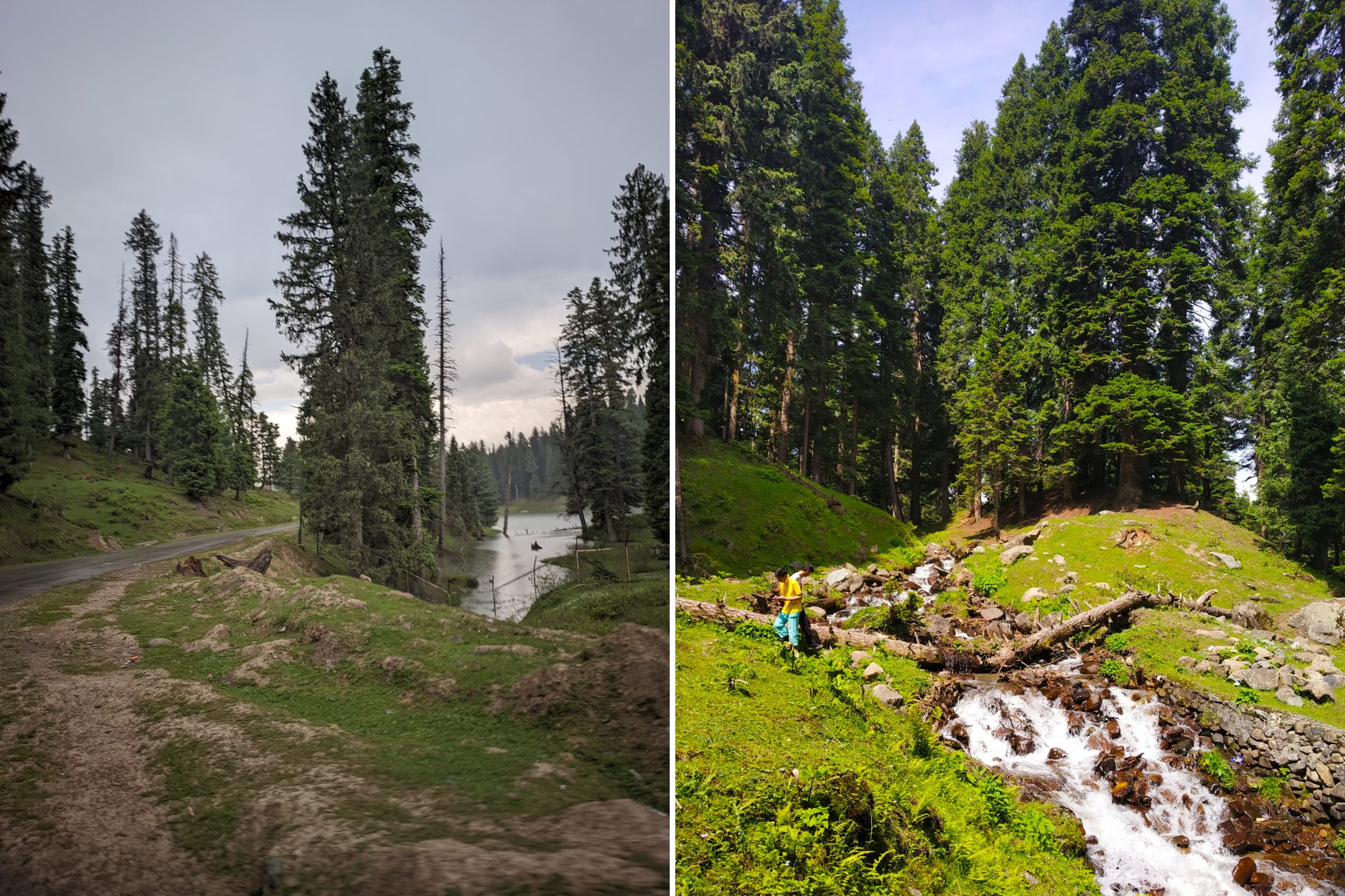 The 9 Best Offbeat Places In Kashmir - Dachigam