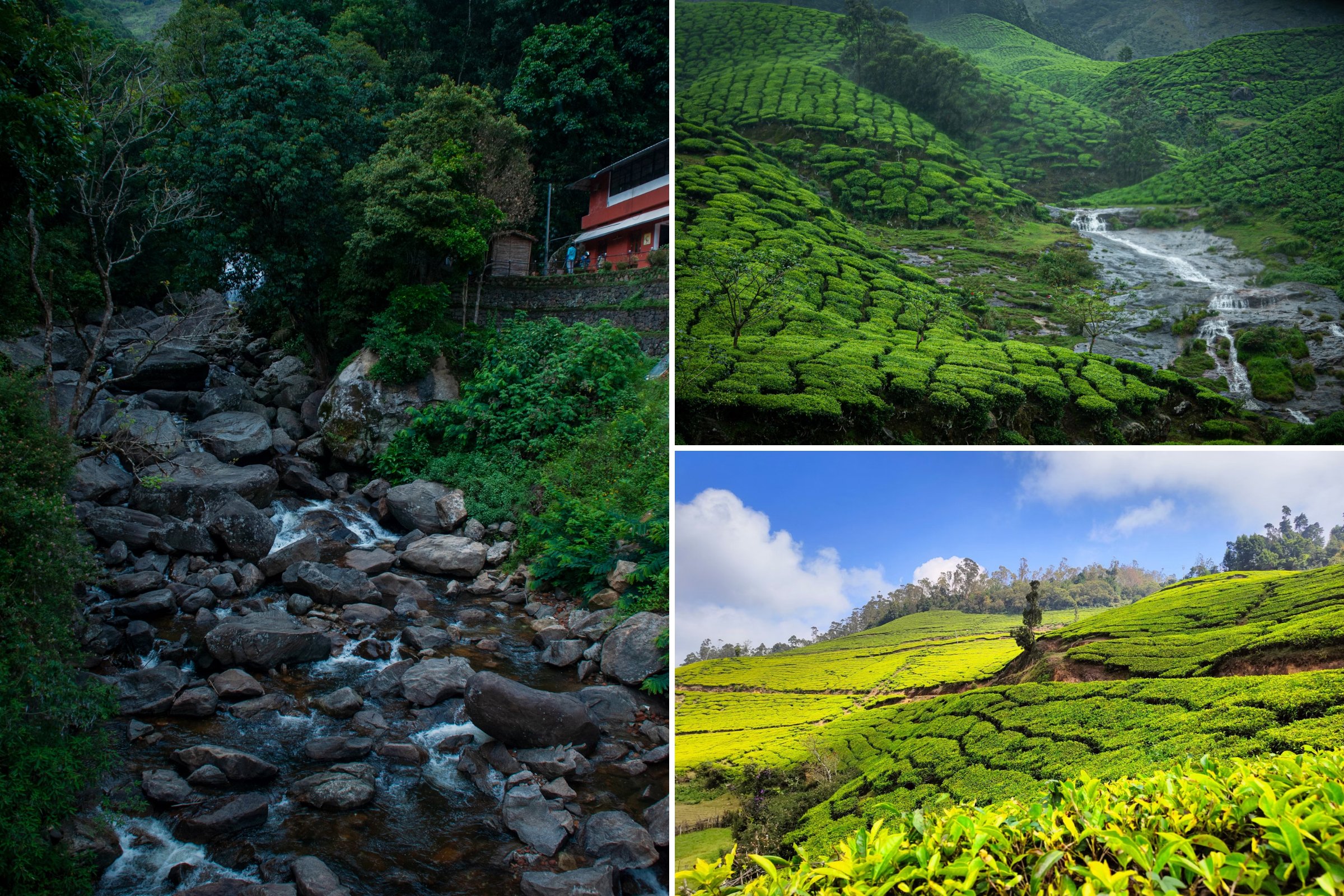 Best Places To Visit In Kerala - Munnar