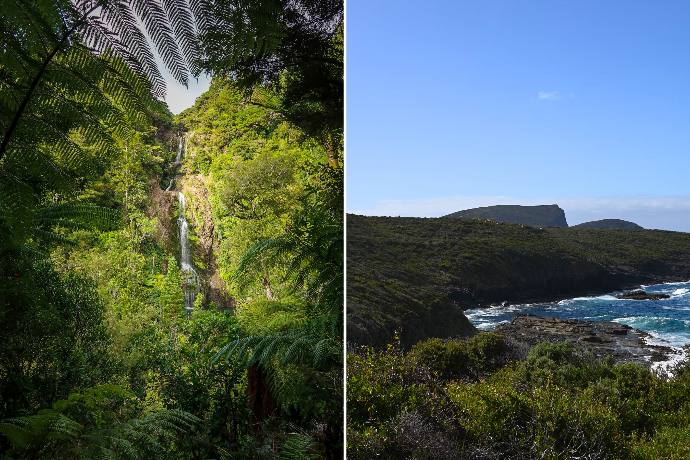 Best Places To Visit In New Zealand - Piha