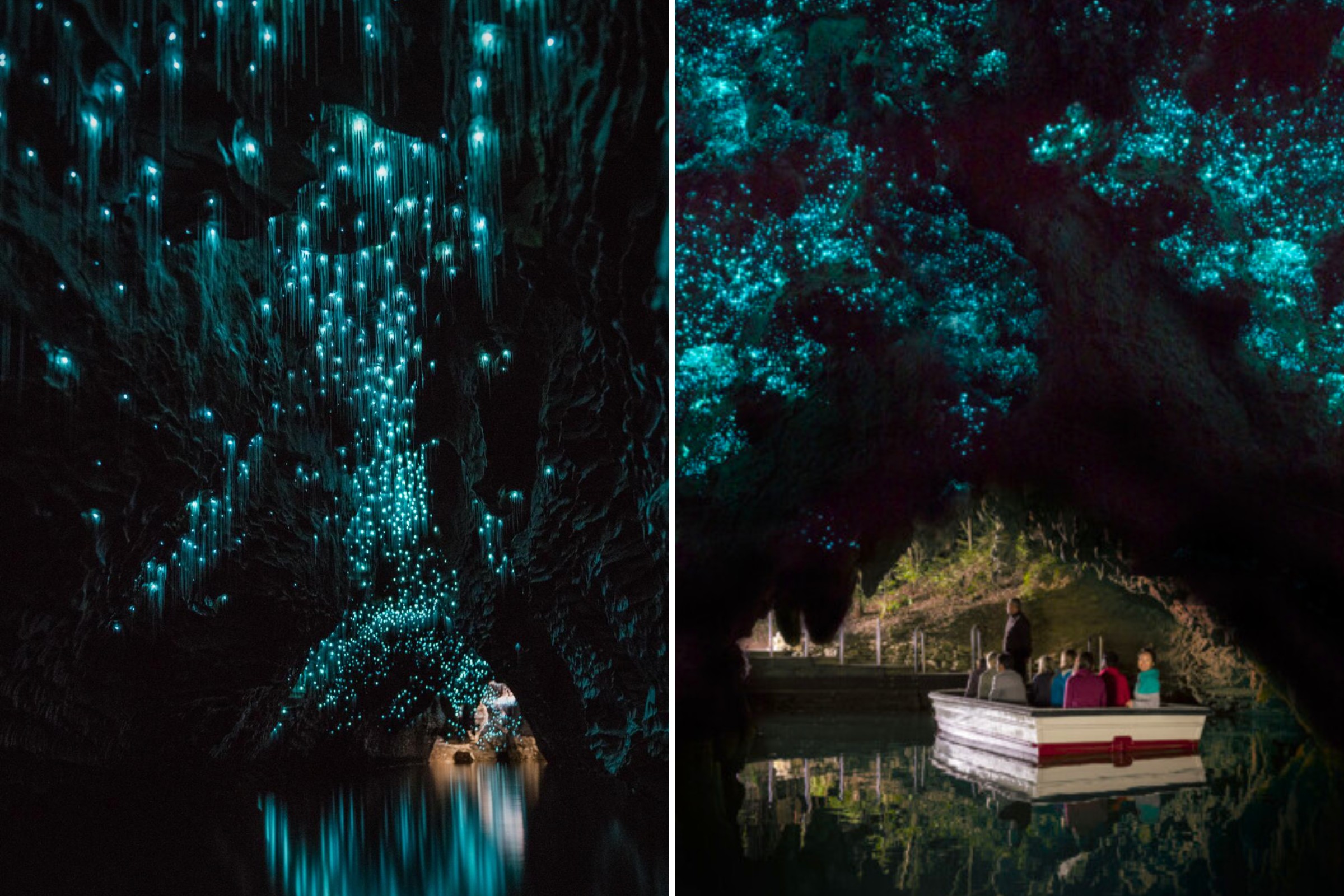 Best Places To Visit In New Zealand - Waitomo Glowworm Caves