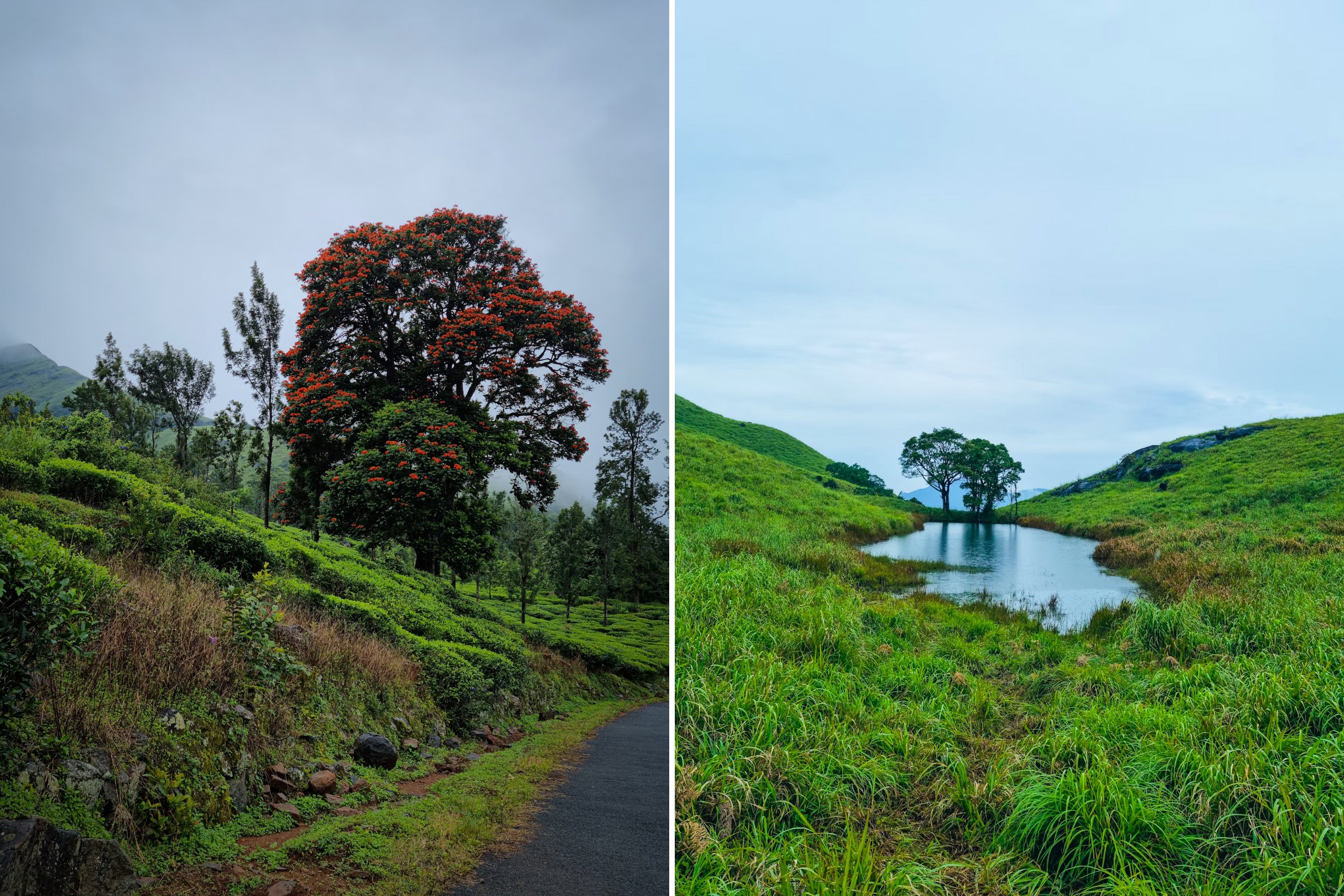 8 Best Places to Visit in Wayanad - Chembra Peak