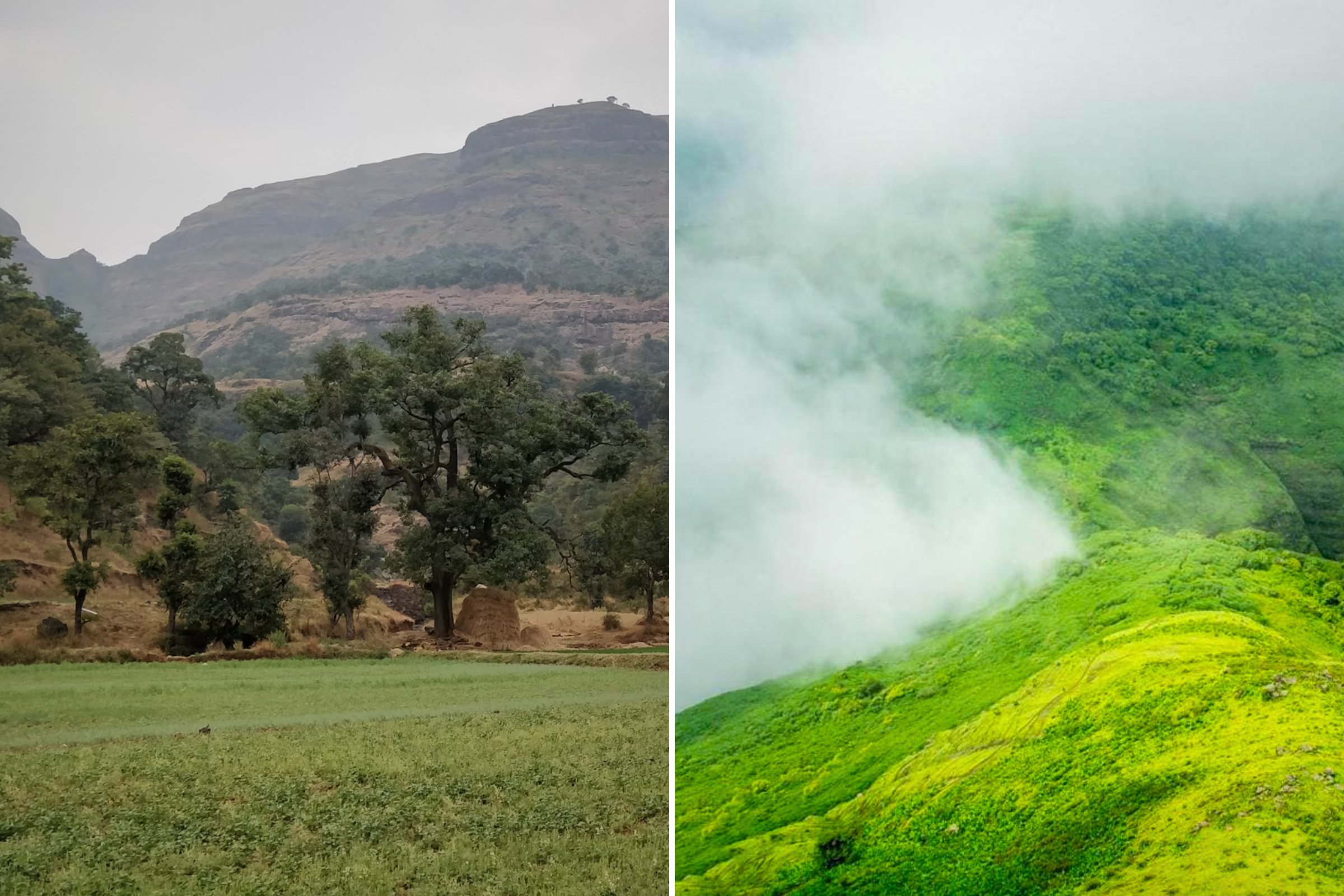 The 11 Best Road Trips From Mumbai - Kalsubai Peak