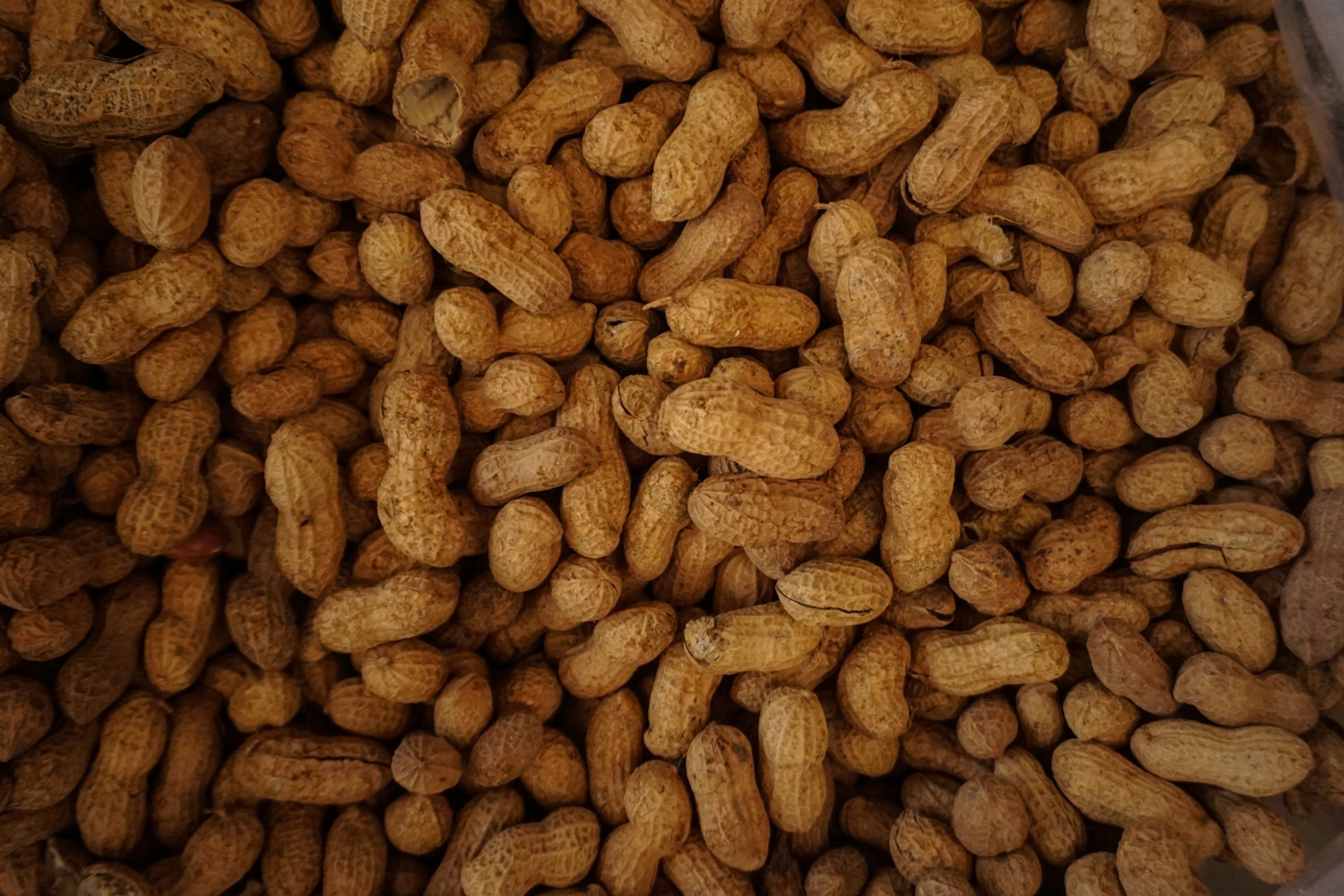 Best Protein Sources For Vegans And Vegetarians - Peanuts