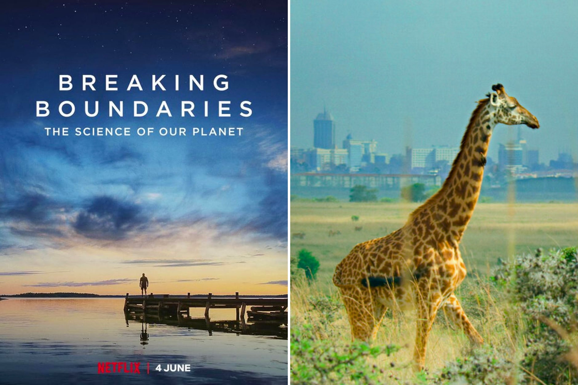 The 9 Best David Attenborough Documentaries - Breaking Boundaries