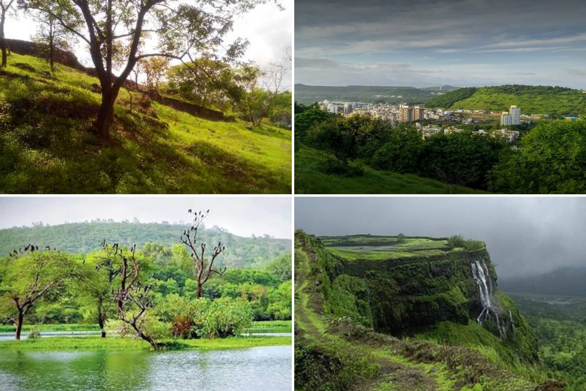 The 10 Best Gardens In Pune - Baner Pashan Biodiversity Park