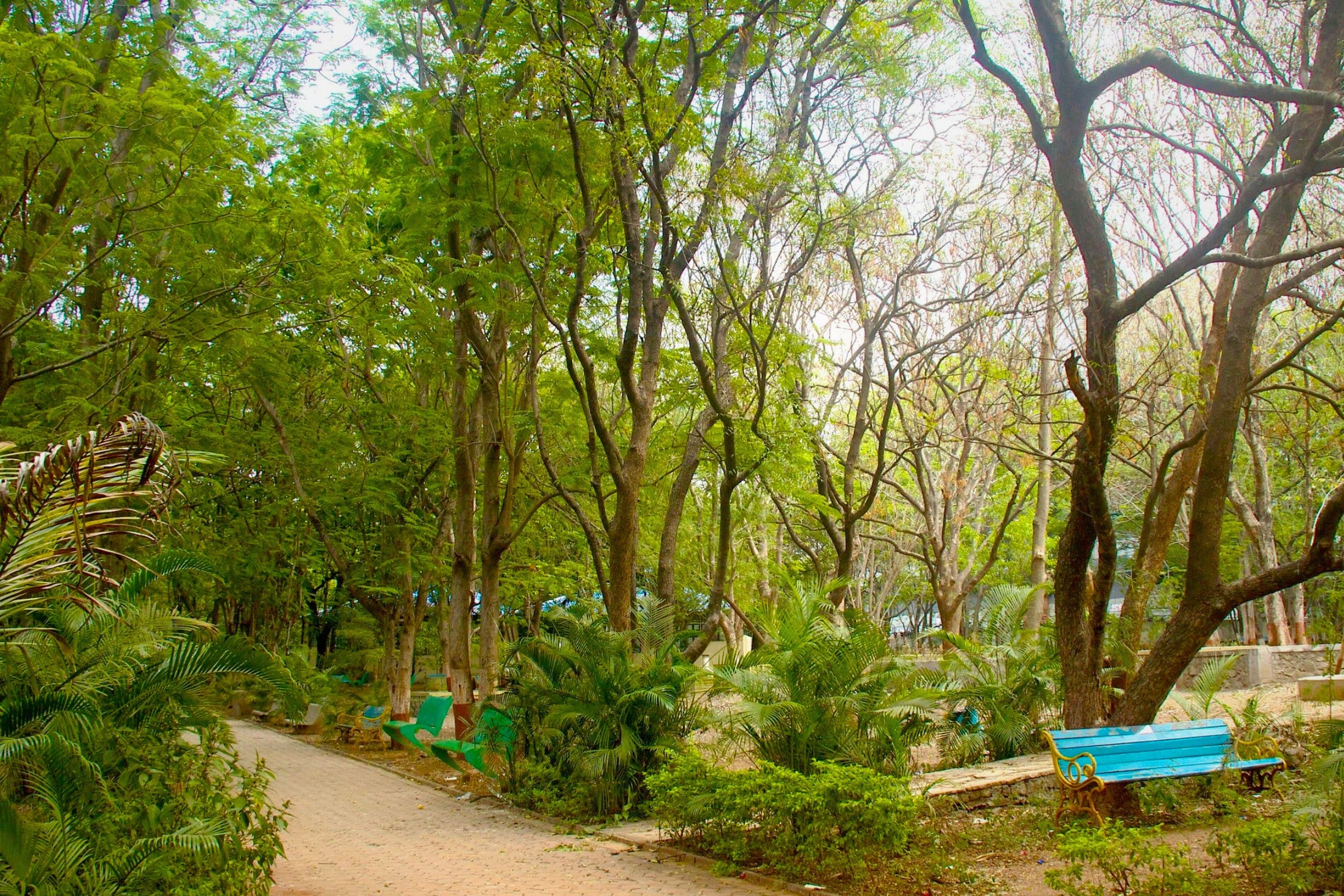 The 10 Best Gardens In Pune - Bund Garden