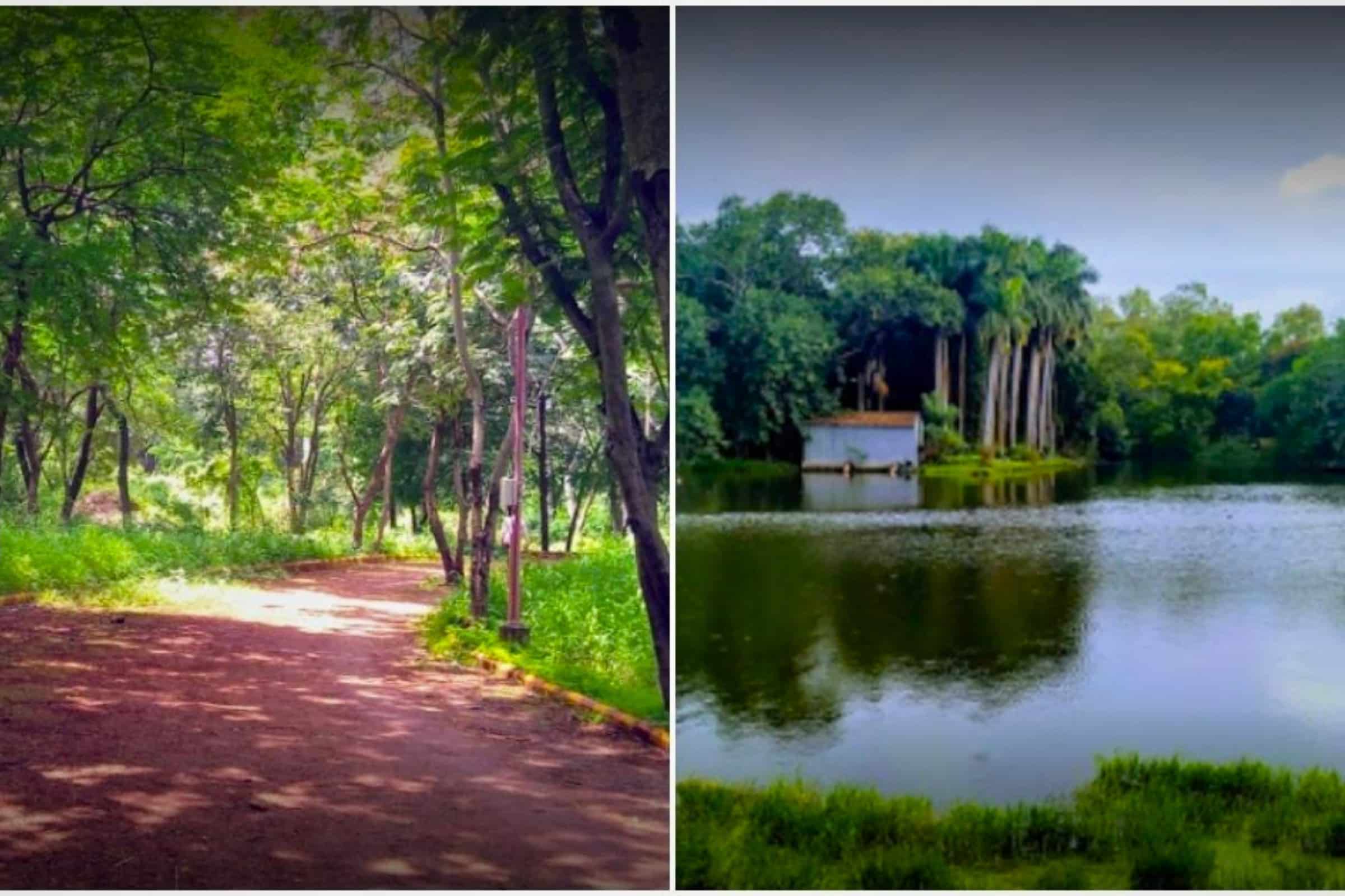 The 10 Best Gardens In Pune - Shivaji Park