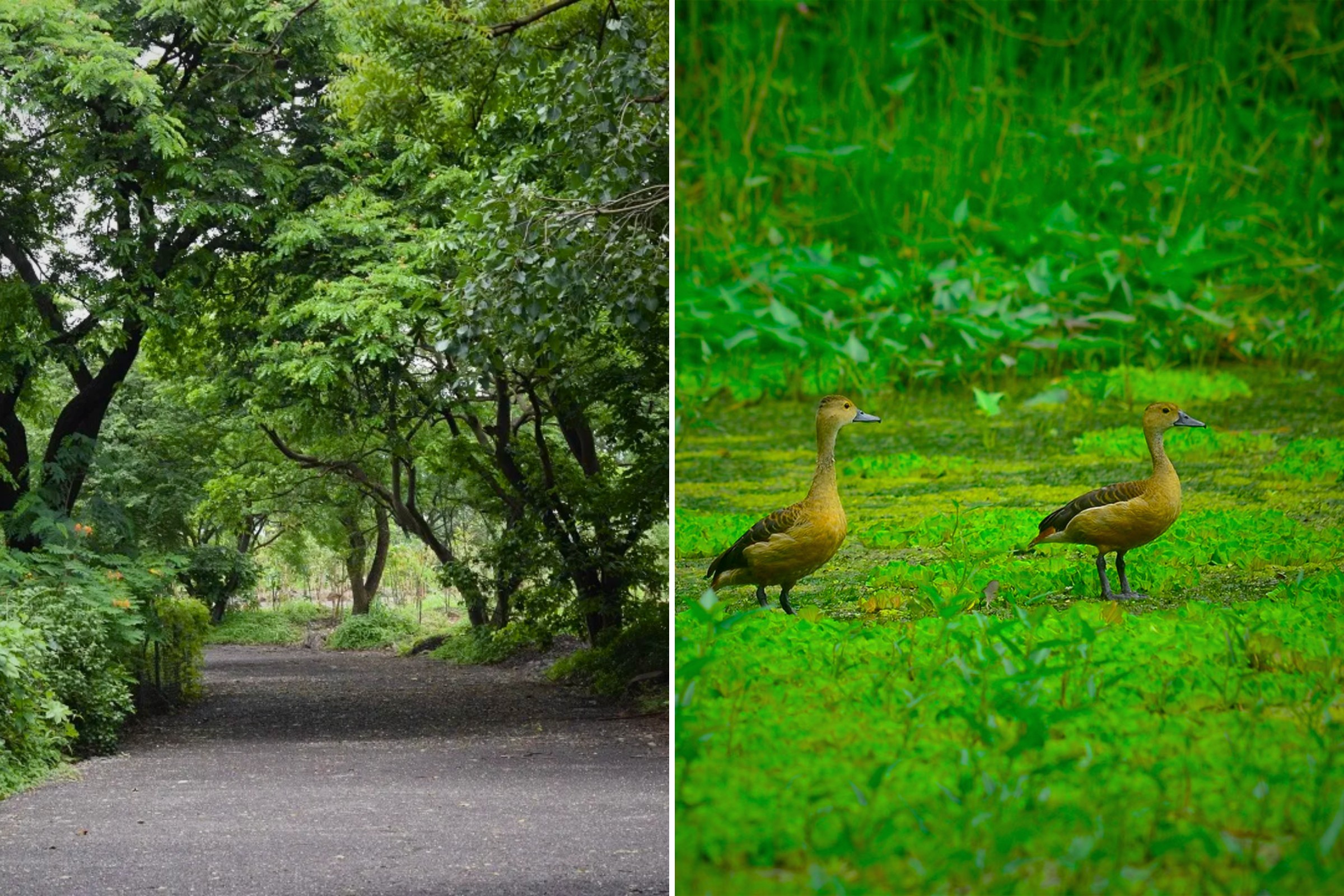 The 8 Best Parks in Mumbai - Maharashtra Nature Park