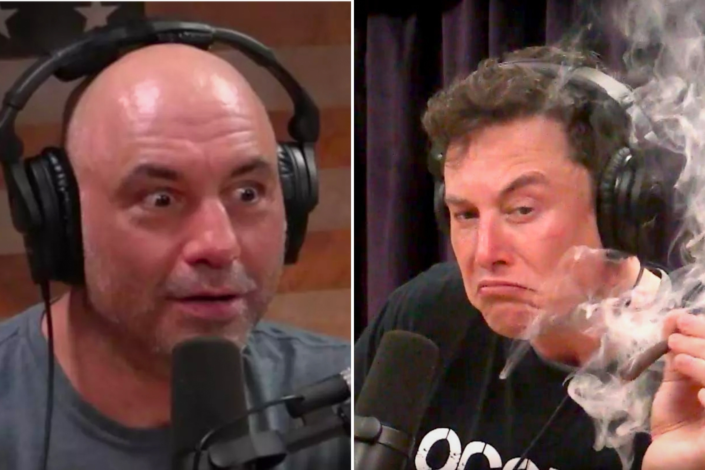 The 11 Best Podcasts To Listen - The Joe Rogan Experience