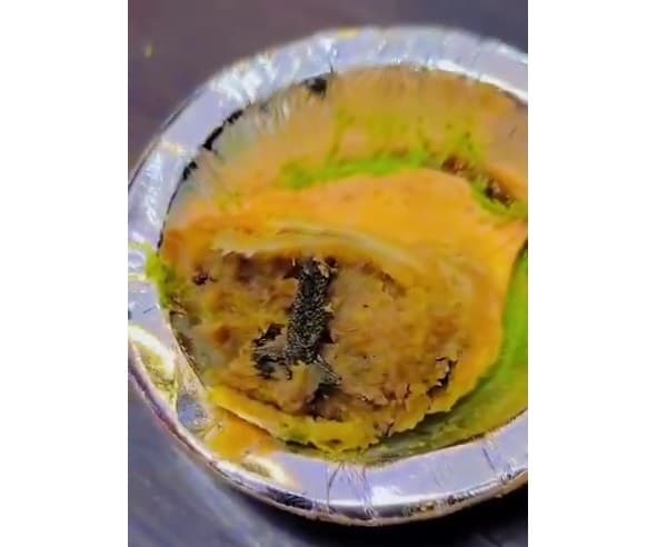 Frog Leg Allegedly Found In Samosa From Ghaziabad’s Bikaner Sweets, Shopkeeper Arrested - RVCJ Media