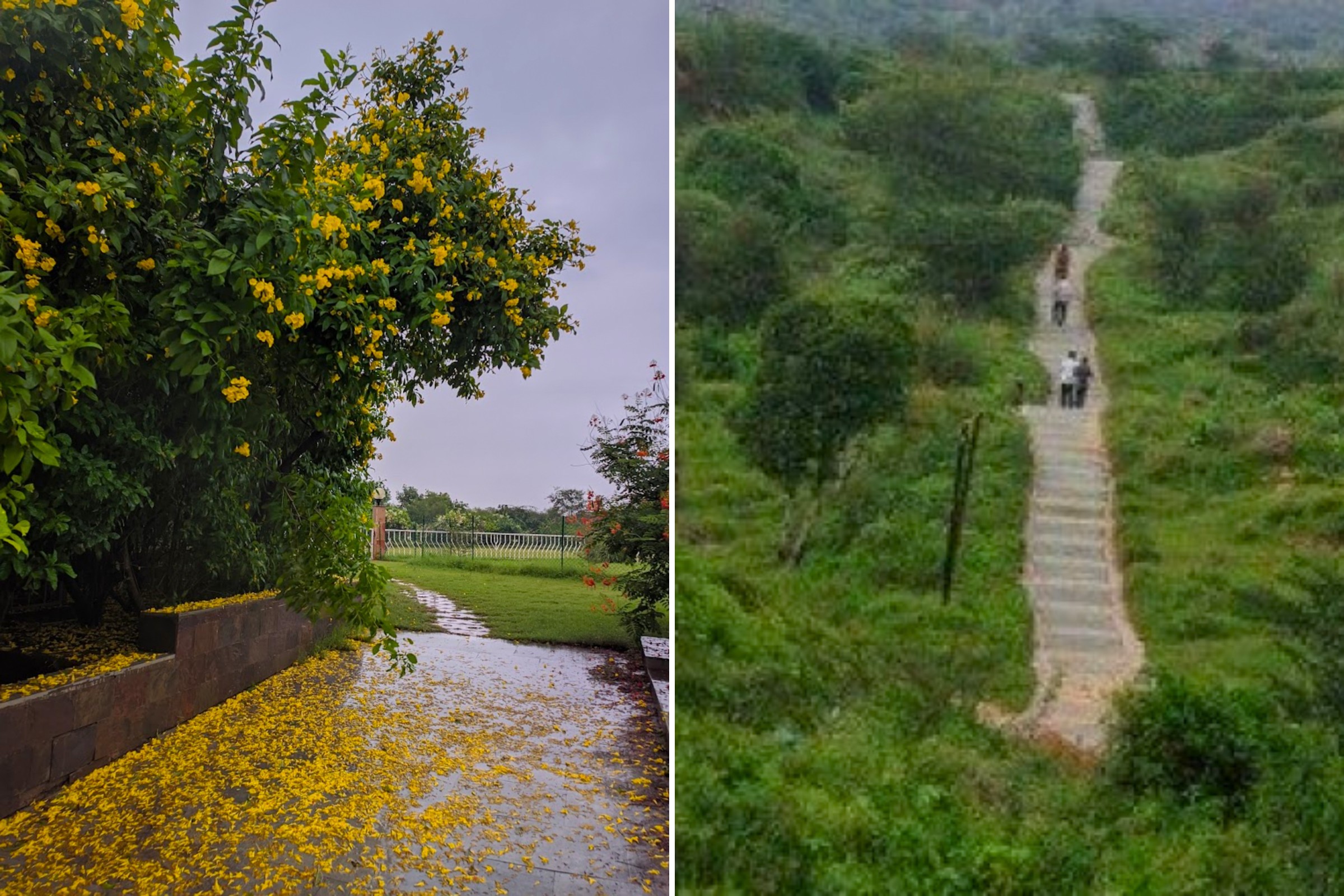 The 8 Best Parks in Delhi - Aravalli Biodiversity Park