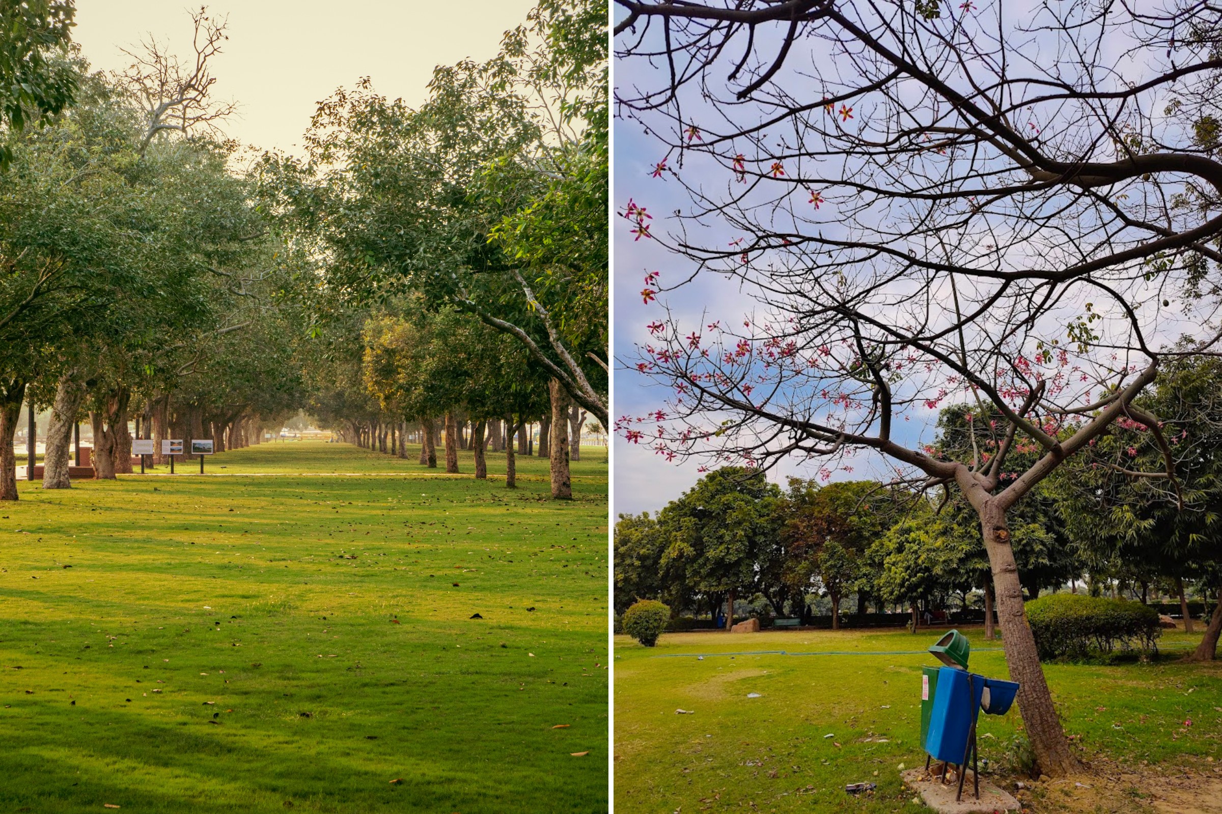 The 8 Best Parks in Delhi - Japanese Park