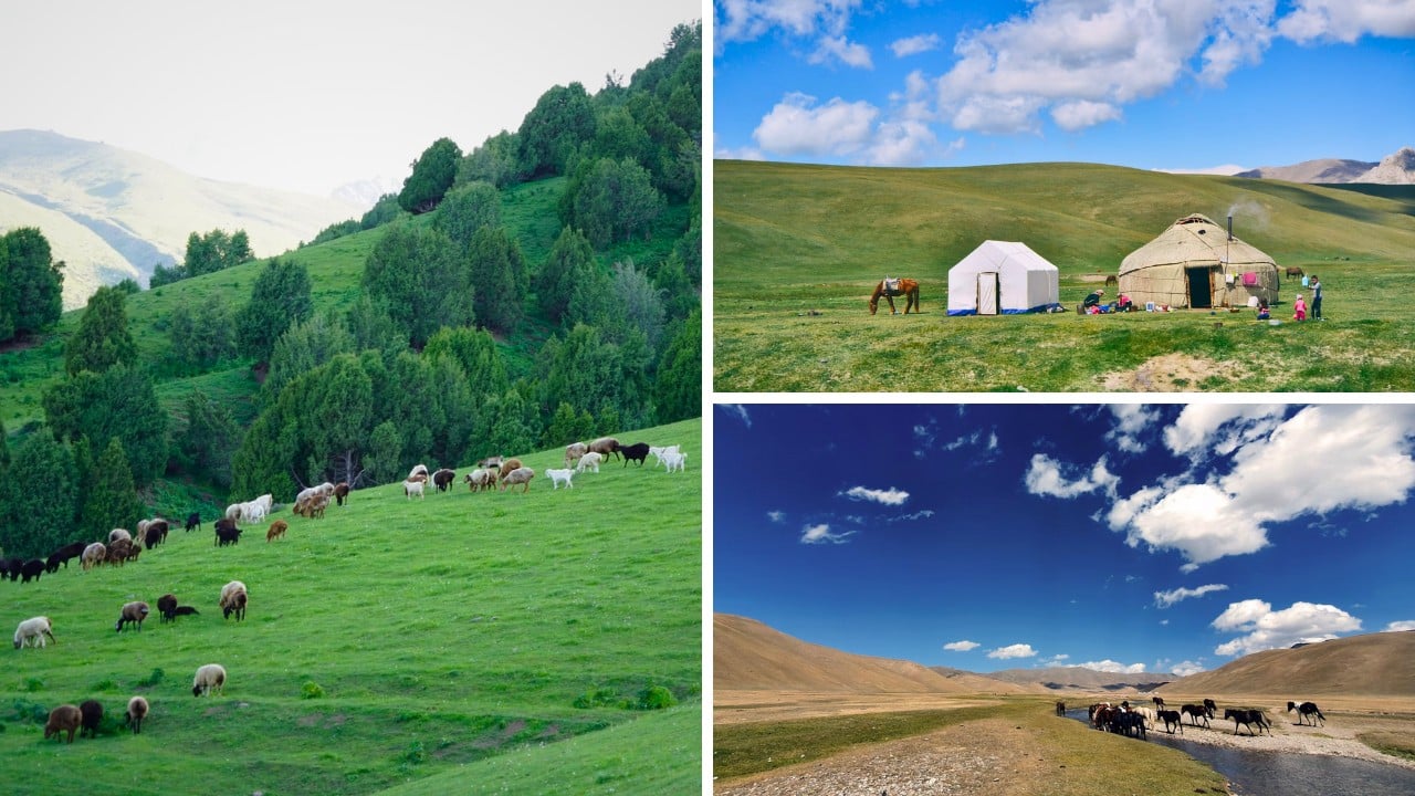 The 8 Best Places To Visit In Kyrgyzstan - Song Kul