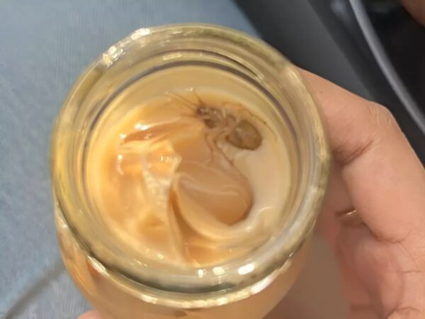 Customer Finds Cockroach in Iced Latte at L’Opéra’s Khan Market Outlet, Post Goes Viral - RVCJ Media